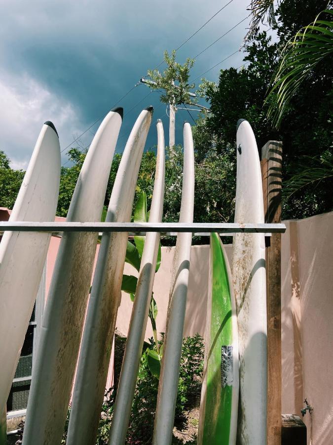 Auberge de jeunesse Dolphins Backpackers à Sunshine Beach Extérieur photo